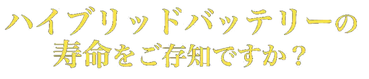 寿命の見出しバナー